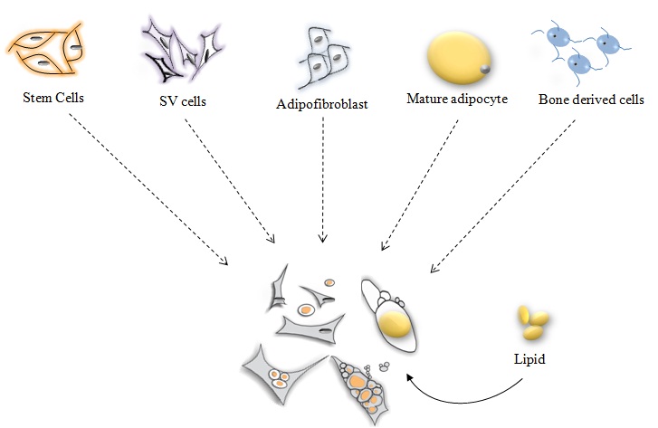 J Genomics Image