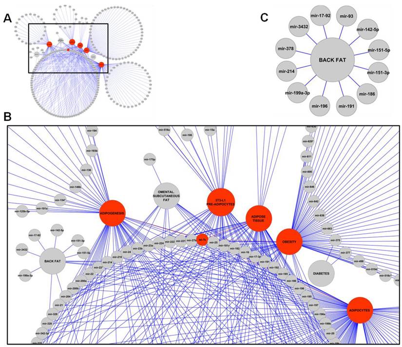 J Genomics Image