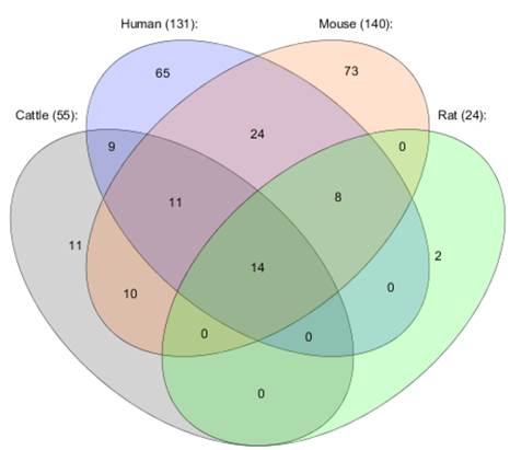 J Genomics Image