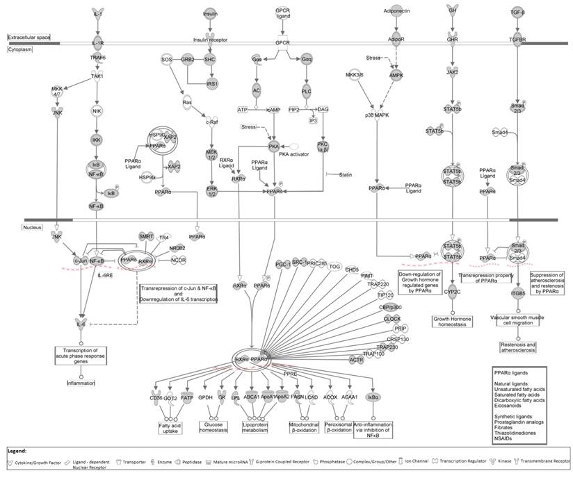 J Genomics Image