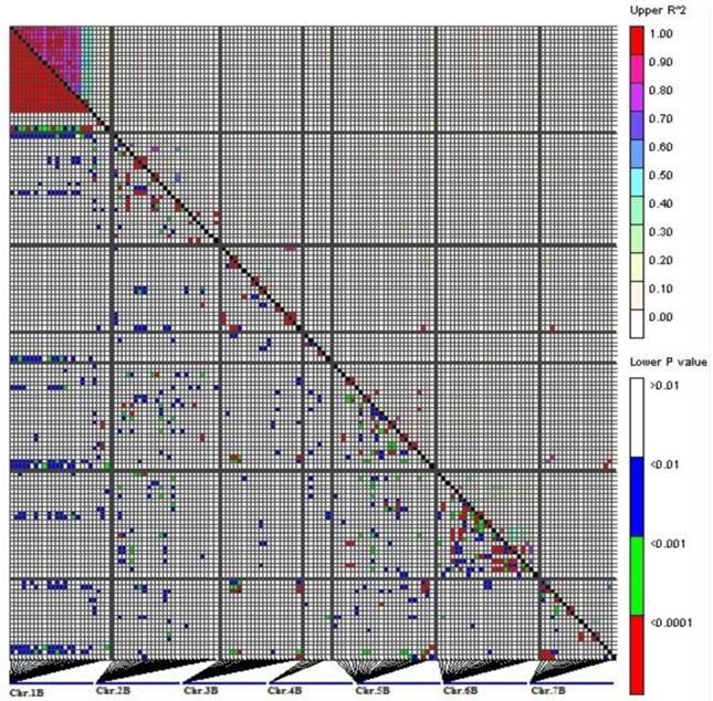 J Genomics Image