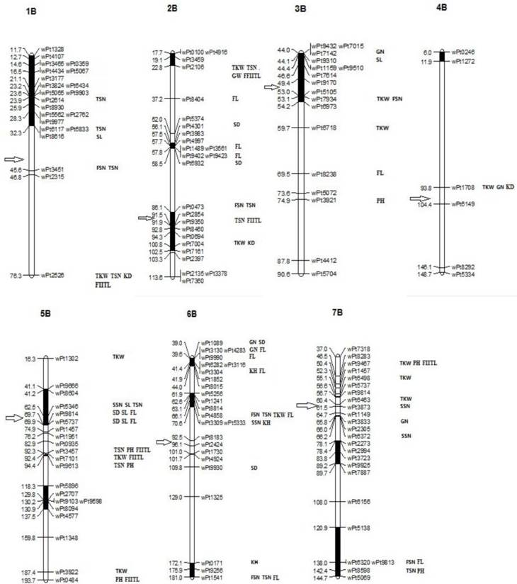 J Genomics Image