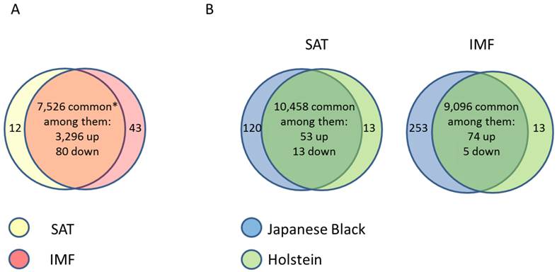 J Genomics Image