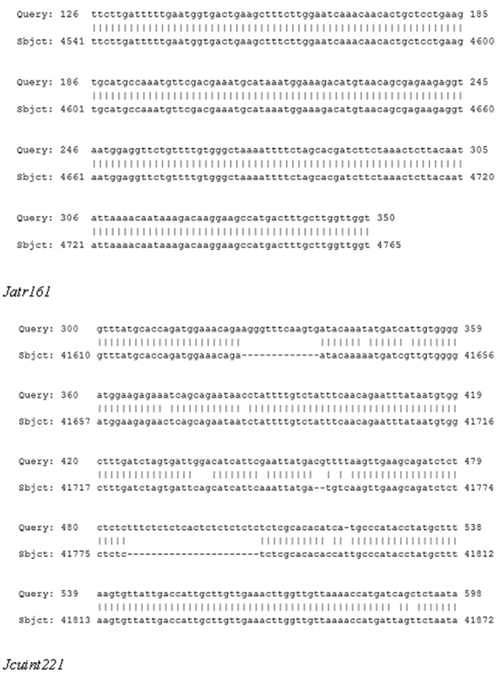 J Genomics Image