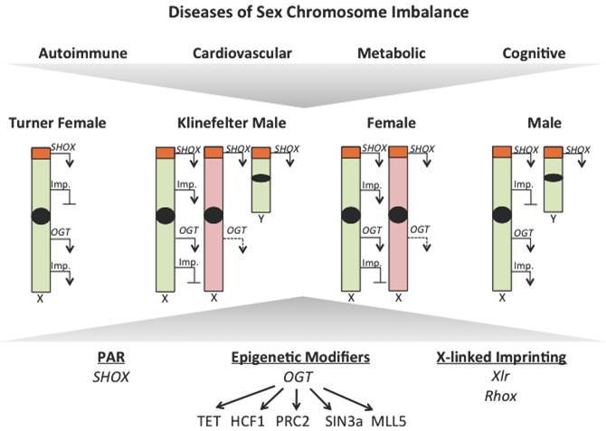 J Genomics Image