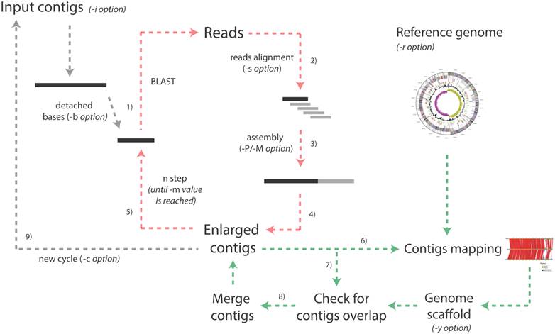 J Genomics Image