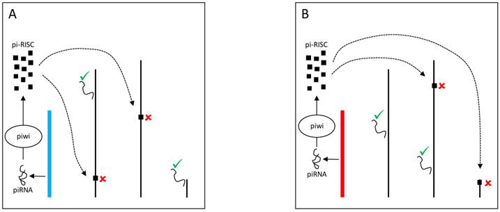 J Genomics Image