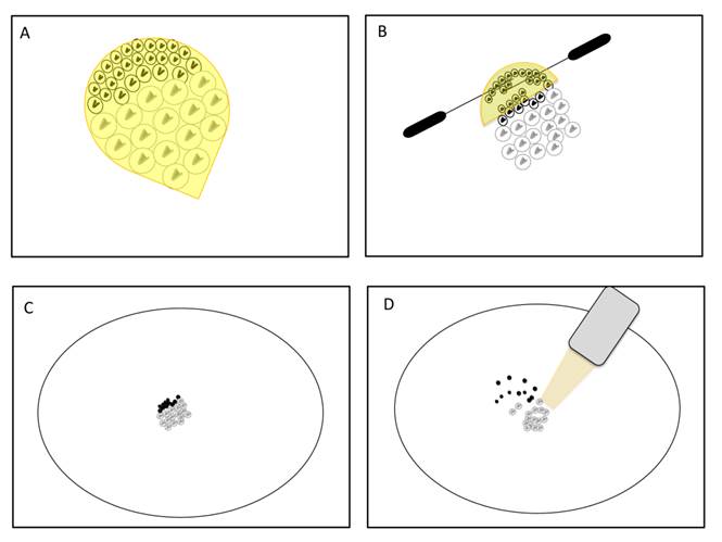 J Genomics Image