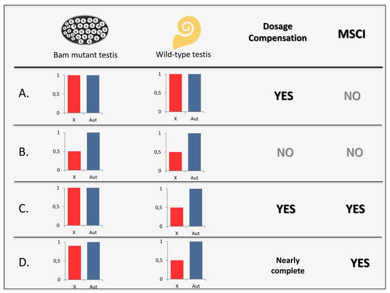 J Genomics Image