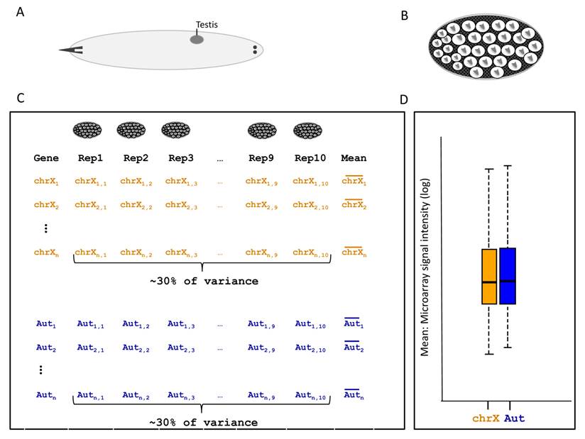 J Genomics Image