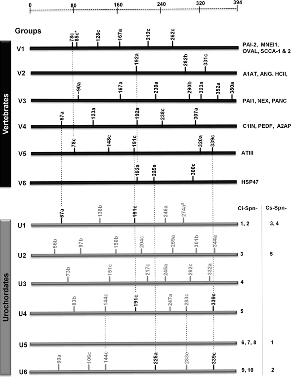 J Genomics Image