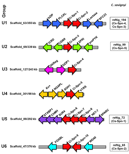 J Genomics Image