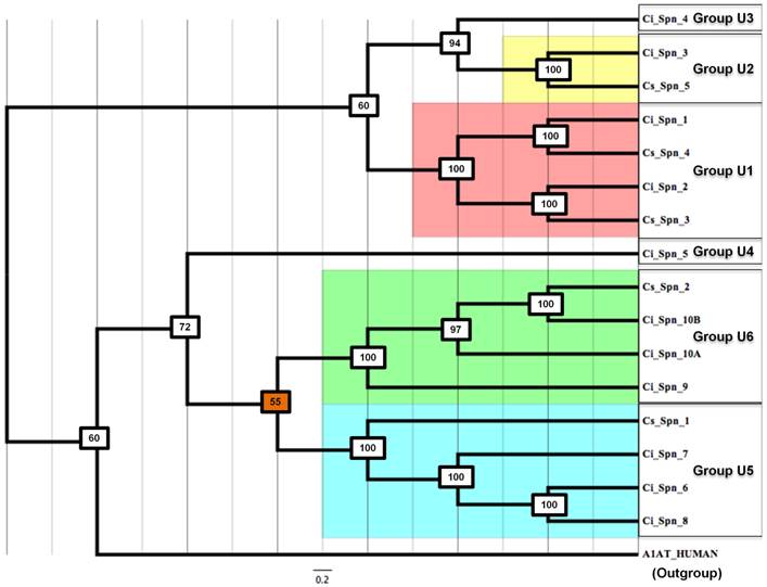 J Genomics Image