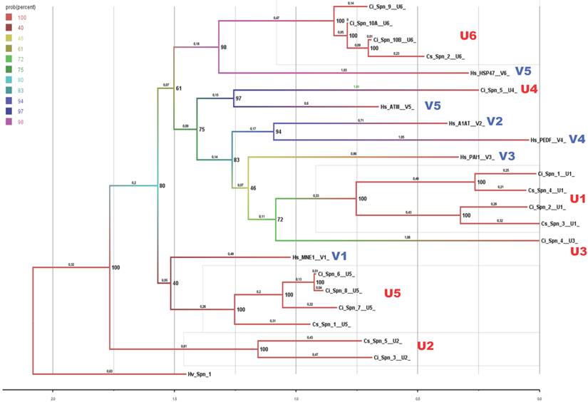 J Genomics Image