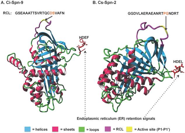 J Genomics Image