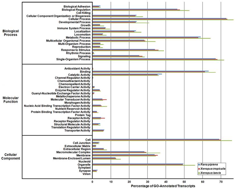 J Genomics Image