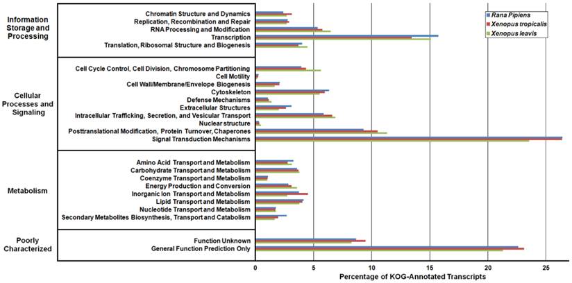 J Genomics Image