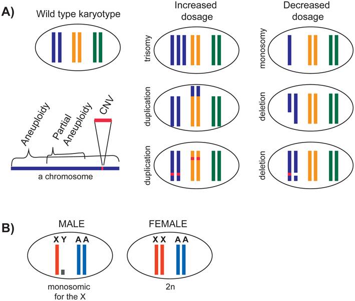 J Genomics Image