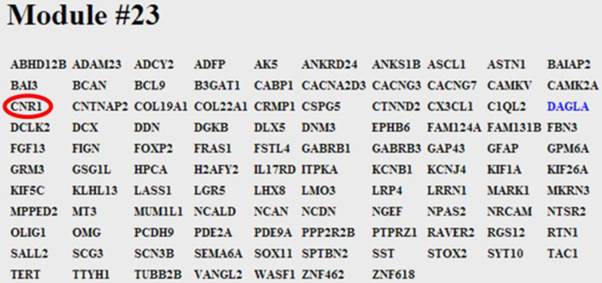 J Genomics Image