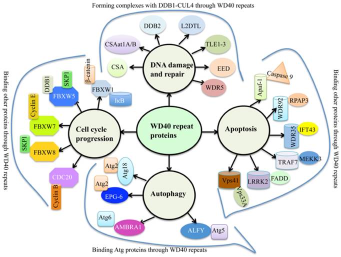 J Genomics Image