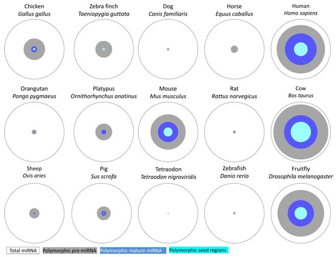 J Genomics Image