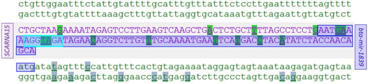 J Genomics Image