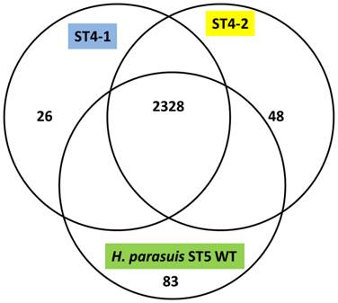 J Genomics Image