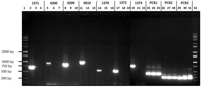 J Genomics Image