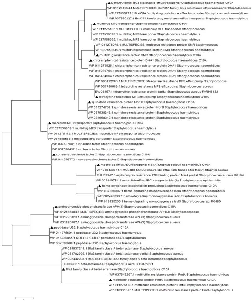 J Genomics Image