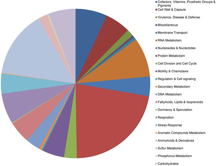 J Genomics Image