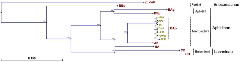 J Genomics Image