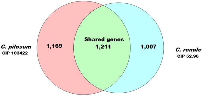 J Genomics Image