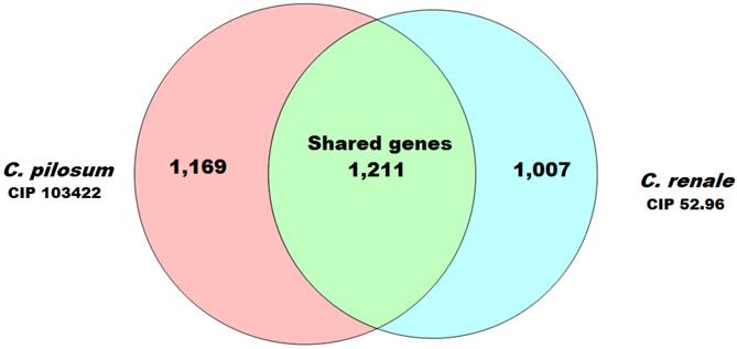 J Genomics Image