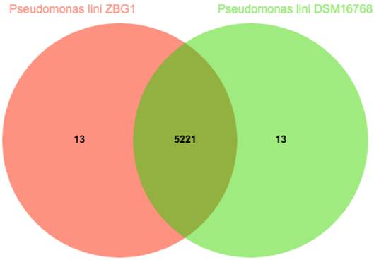 J Genomics Image