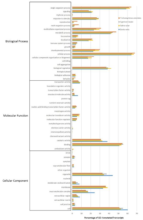 J Genomics Image