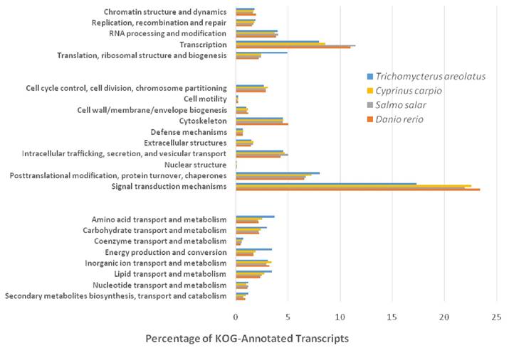 J Genomics Image