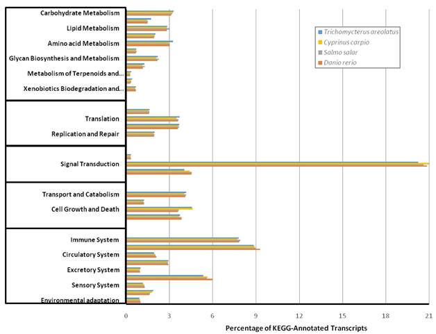 J Genomics Image