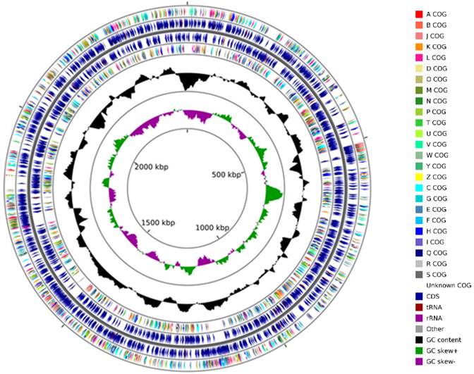 J Genomics Image