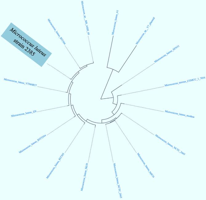 J Genomics Image