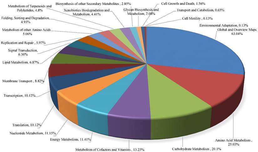 J Genomics Image