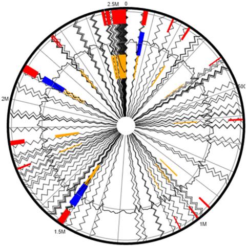 J Genomics Image