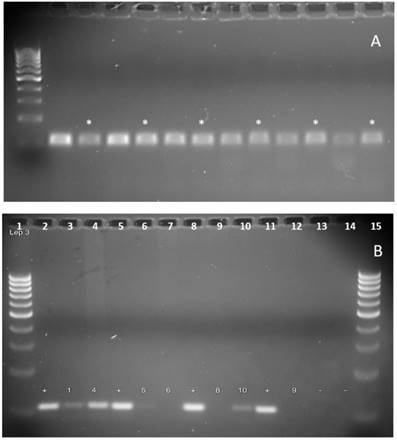 J Genomics Image