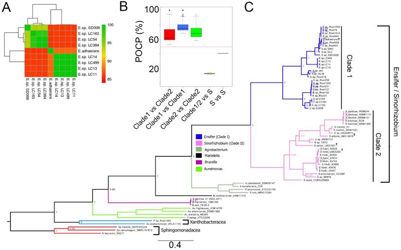 J Genomics Image