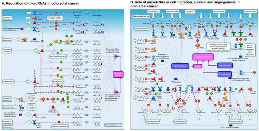 J Genomics Image