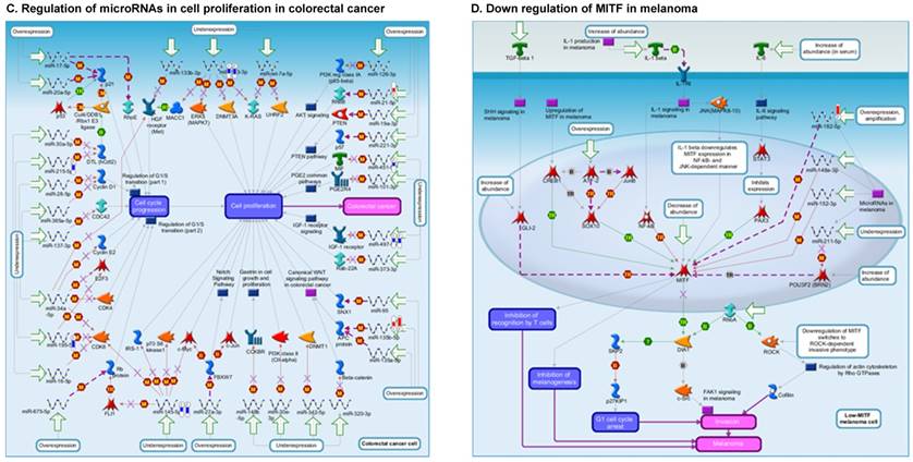 J Genomics Image