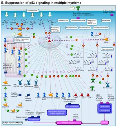 J Genomics Image