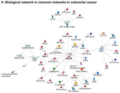 J Genomics Image