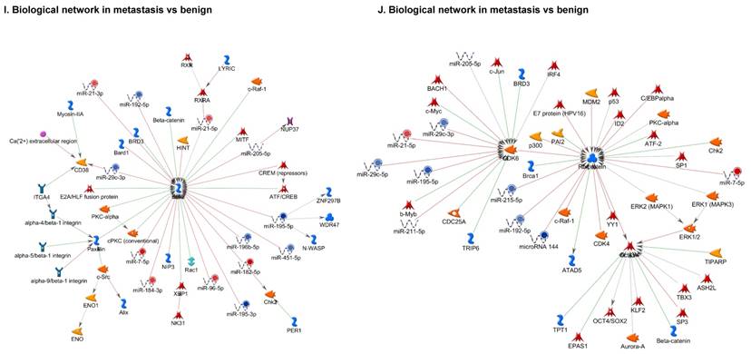 J Genomics Image