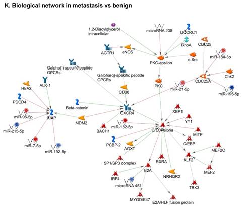 J Genomics Image