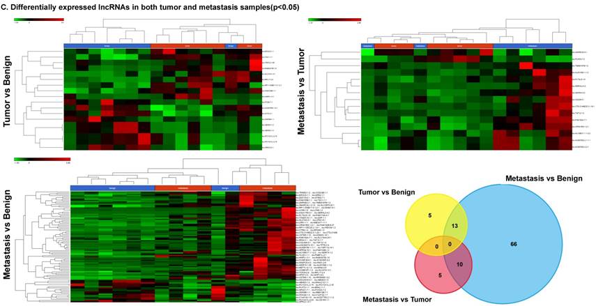 J Genomics Image